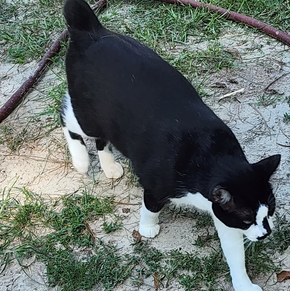 Meet your Posher, Mary - Picture 16 of 16